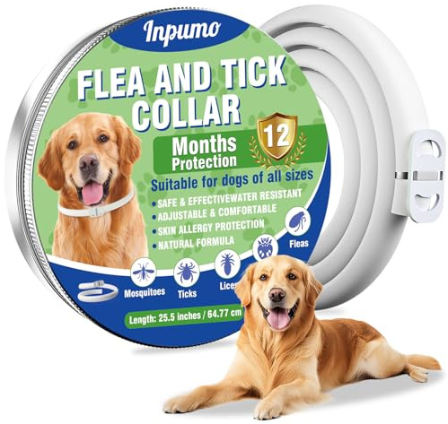 Inpumo Collare Antiparassitario per Cani, Collare Regolabile Resistente all'Acqua, Protezione Efficace contro Parassiti per Tutti i Tipi di Cani, Durata 12 Mesi (1 Pack)