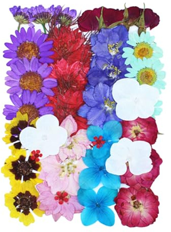 36pcs Dried Pressed Flowers for Crafts Resin DIY Art Natural Dry Rose Floral Daisy Epoxy Jewelry Real Album Frame Decor Cakes Bookmarks Phone Cases Candles Handmade Soap Papermaking Colorful