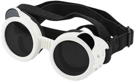 Hundsolglasögon – utomhusglasögon med skyddande glasögon, UV-skydd