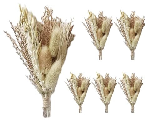 6 Pièces Décor De Fleurs Sèches, Fleurs Séchées,Fleurs Pressées Séchées,Bouquet De Décoration De Fleurs Séchées,Bouquet Décoratif Réutilisable en Roseau Naturel,décorations De Mariage Boho