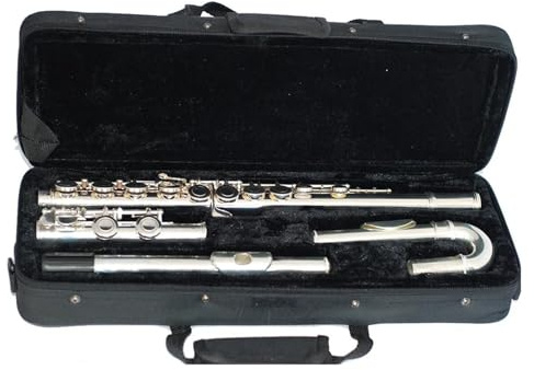 tvärflöjt instrument Flöjt C Flöjt nybörjarinstrument