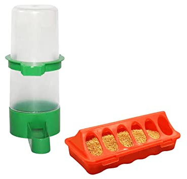 F Fityle Mangeoire à Poussins et kit d'abreuvoir pour Oiseaux Abreuvoir pour Oiseaux, Grand