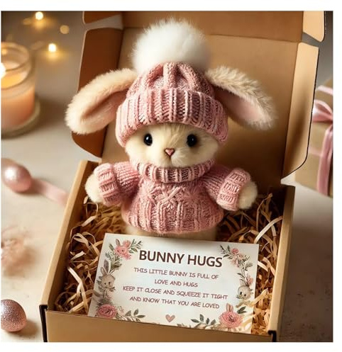 Mini Bunny Hug Cute Easter Gift, Emotional Support Cute Bunny Plush In A Box, Mini Soft Pocket Rabbit Toy, Stuffed Animal Bunny Doll With Inspirational Card, Cute Bunny Stuffed Animal Gifts (A1)
