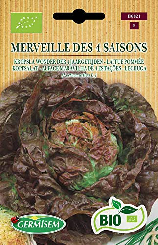 Germisem Biologico Merveille Des 4 Saisons Semi di Lattuga 2 g