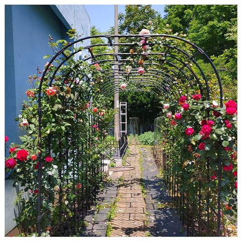 Arche de jardin en métal pour plantes grimpantes, tonnelle d'extérieur avec design demi-arc, parfait pour les décorations de fête de mariage et les cérémonies de pelouse, finition cuivrée, 220 x 230 x