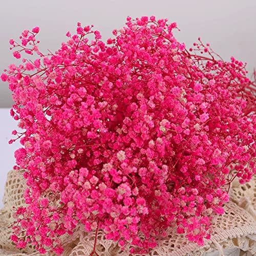 Bouquet di fiori secchi a velo essiccati – 2000 + fiori secchi rosa, 43 cm, rami gypsophila naturali per matrimoni, decorazioni per vasi da tavolo, decorazioni fai da te, decorazione per la casa,
