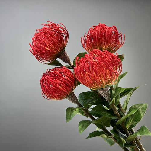Shirfloral 4Pcs Pincushion Artificial Flower Stem 26In Flosted Fake Leucospermum Simulation Tropical Protea Cynaroides Flowers for Table Centerpiece Floral Arrangement (Red)