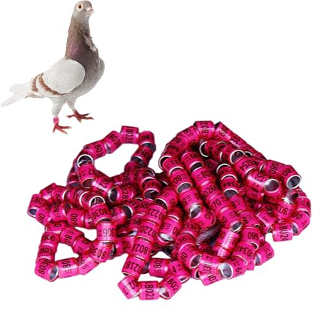 Anillos de palomas | Anillos seguros para palomas | Accesorios para casa de pájaros, suministros para palomas, bandas fáciles de distinguir, accesorios de pie de pájaro en colores brillantes