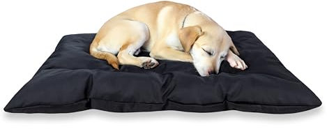 ADGO Hundekissen Grosse Hunde Hundekissen 100x75 cm (nach Füllung: 90x55 cm) Liegekissen Hund Dog LEGSIT Big Bed M HUNDEBETTMATTE Schwarz Abrieb- und Kratzfestigkeit