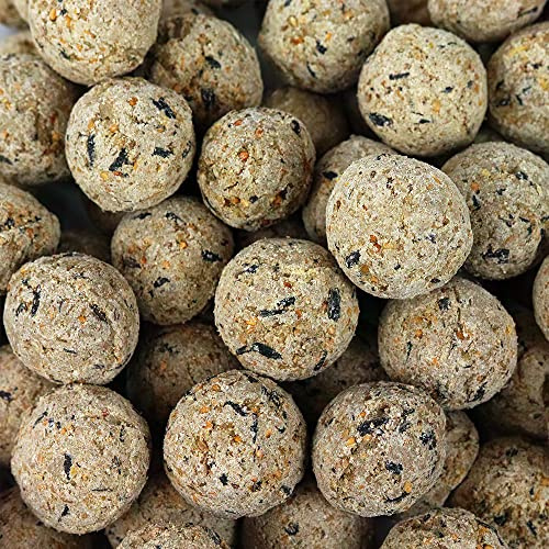 SQUAWK Bolas de Grasa de sebo | Comida Premium para Aves Silvestres | Fórmula Mejorada Durante Todo el año | Mezcla Natural, Alta en energía y Rica en proteínas | Llena de Grasa, Fibra (Paquete 10)