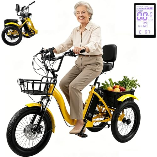Tricycle électrique Pliable pour Adultes, Batterie Pliable, capacité de Charge 120 kg, Attaches pneumatiques, Charge de Chargement, facilité d'escalade
