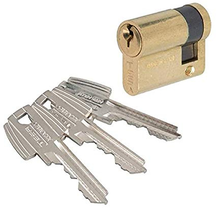 Tesa Assa Abloy 50309010L Cilindro Estándar TE5 Latonado 90 x 10 mm Medio Cilindro Llave Leva Larga
