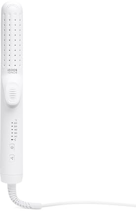 Bondi Boost Air Burst Styler