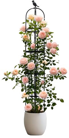 Gegaden Kletterhilfe mit Vogel-Spitze, Rosabogen, Rankgerüst wetterfest, Rankhilfe für alle Kletterpflanzen unabhängig von ihrer Kletterform, schwarz（1）