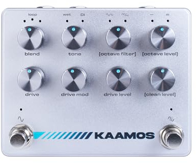Darkglass Kaamos Distortion/Octaver - Effects for Bass