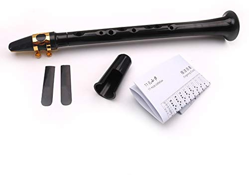 POENVFPO Saxophone de Poche Noir Portable, Mini Instrument de Musique à Vent avec Sac de Transport, Design fabriqué à la Main pour les Amateurs de Musique, Disponible en Cloche ou à Bouche Droite
