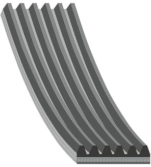 FEBI BILSTEIN Cinghia Poly-V 177991