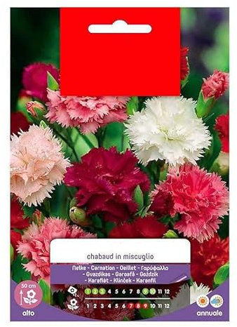 Sobre de Semillas de Clavelina Mix Color Clavel de Florista