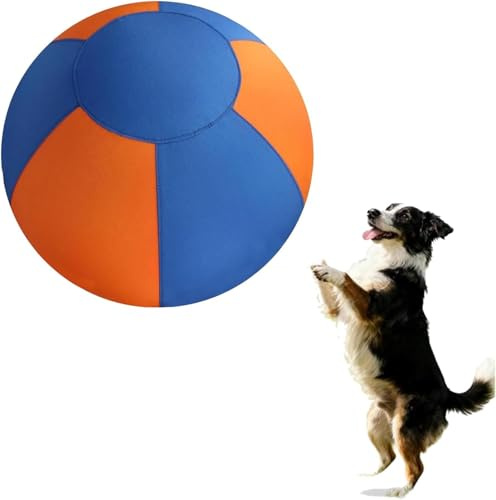 SDYAYFGE Balles pour Chiens de Troupeau, Treibball avec Pompe de Gonflage pour Le Dressage des Border Collies en Cour,L