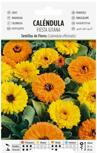 DECOALIVE Semillas de Caléndula para Cultivo Fácil en Casa con Floración Decorativa Naranja y Amarilla