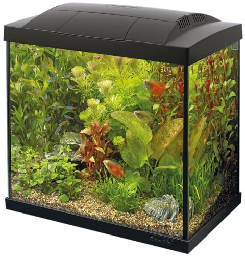 Superfish Start 50 Aquarium, Schwarz