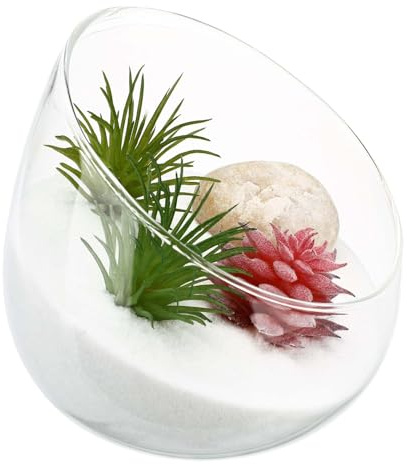 WOFASHPURET 4.72 Inch Transparent Terrarium Jar Thickened Glass Micro Landscape Ecological Bottle for Succulent Moss Home Bedroom Store Indoor Outdoor Decor 1 X Vase