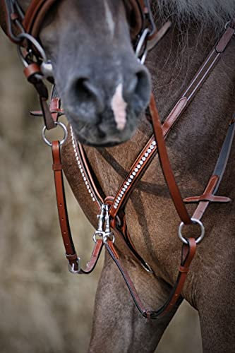 Tysons Breeches DEISTER Vorderzeug Schwarz Cognac Glitzer Strass Martingal Pony VB WB X Full Hilfszügel Springen (Vollblut, Cognac)