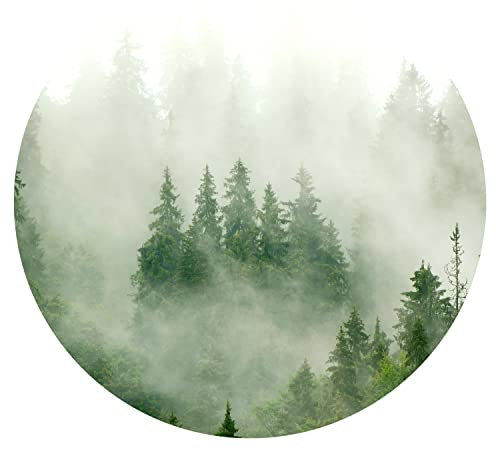murando runde Fototapete selbstklebend Wald im Nebel 125x125 cm Tapeten Wandtapete XXL Moderne Wanddeko Design Wand Dekoration Wohnzimmer Schlafzimmer Büro Flur Natur Landschaft Bäume