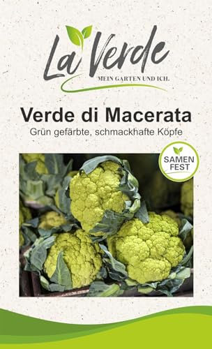 Graines de chou-fleur Verde di Macerata