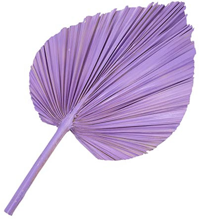 Cabilock Abanico De Totora Simulado Tallos Artificiales Ornamento Abanicos De Palma Seca Natural Hortensias Flores Artificiales Decoraciones Decoración De Hojas Secas Hoja De Palma Violet