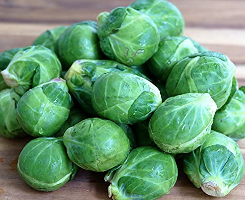 Rosenkohl - Brüsseler Kohl - Sprossen Kohl - 500 Samen