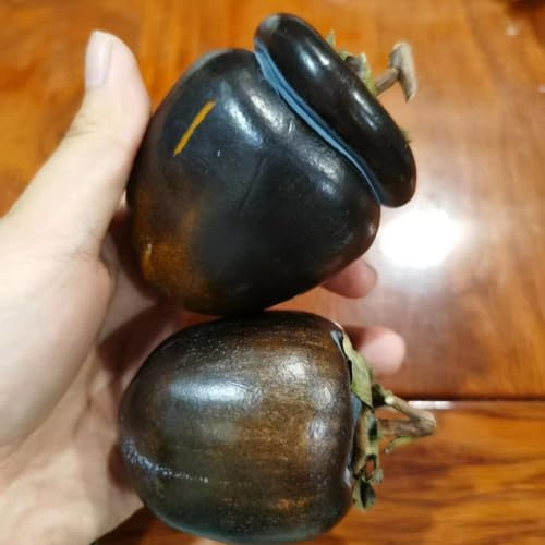 Semi di cachi - di cachi da frutto nani, resistenti semi frutto colonnare raro comprare da esotico balcone giardino roccioso per luoghi 5pcs