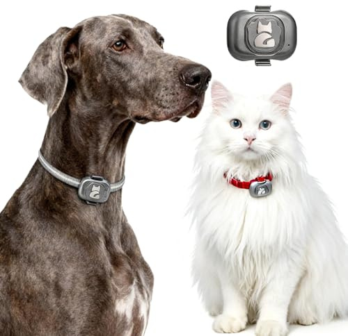 Localizzatore GPS per Cani e Gatti Impermeabile con App Gratuita – Tracciamento in Tempo Reale, Allarme Perimetrale, Cronologia Spostamenti Funziona con Scheda Nano SIM 2G