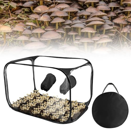 Kensbro Still Air Box, Mushroom Grow Kit Tragbares Faltbares, PVC Pilz-Wachstums-Set mit 2 Arm Ports, Kompakte Standluftbox für Pilzliebhaber, Vielseitige Kultivierung für Gartenbaubedarf