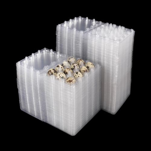 KUKLIPJIM Confezione da 200 scatole per uova di quaglia, in plastica trasparente, possono contenere fino a 12 uova di quaglia in modo sicuro, i tuoi piccoli contenitori per uova di quaglia per riporre