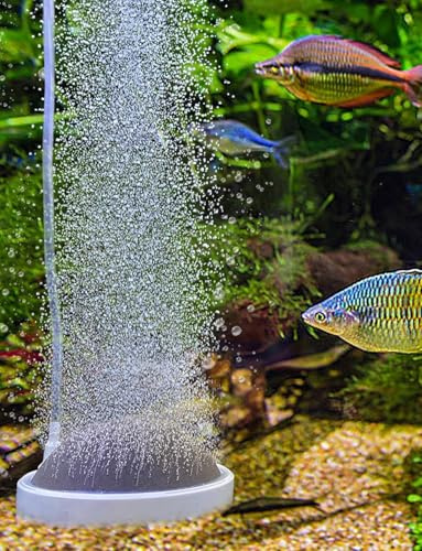 boxtech Pierre à air d'aquarium - Décoration Nano Bubble Air Stone - Accessoire d'aquarium - Petites Bulles (100 mm)