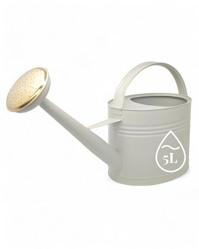 LIVLIG Regadera de zinc de 5 litros, para jardín, metal, regadera para flores para interior y exterior, regadera vintage, boquilla extraíble, color: gris