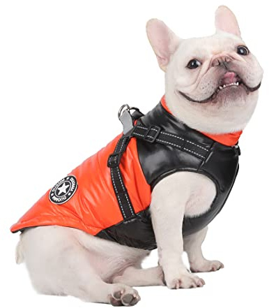 DoggieKit Hundvinterrock Vattentät, Inter Varm Husdjur Hund Kläder, Liten Vattentät Hund Demantel Jacka, Kallt Väder Kläder, Hundrock Väst Kappa för Små, Medelstora och Stora Hundraser