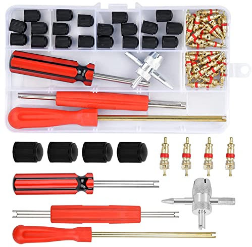 Dfuqanb 64 Stücke Reifenventilentferner Ventil, Autoventil Reparatur Werkzeug, Reifenventil Kern Werkzeug Set, Reifenventilkern, Reifenventil Kern Werkzeug, 4-in-1 Reifenreparatur Werkzeug