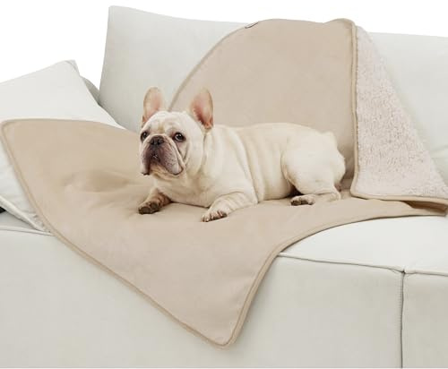 LE SURE Couverture Imperméable pour Ghiens Grande Taille - 100x80cm Couverture pour Chiens Lavable, Protection de Canapé pour Chiens en Polaire Sherpa, Couverture pour Chats Douce et Moelleuse, Crème