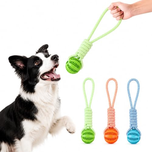 Lazheng 3 Pièces Balle pour Chien ø 5 cm, Jouet pour Chien avec Corde, Balle Interactive Chien Indestructible, Balle de Dressage pour Chien en TPR, pour Chiens de Petite, Moyenne et Grande Taille