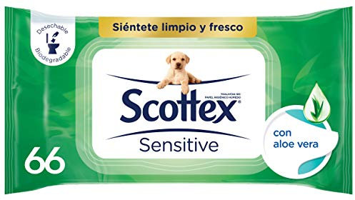 Scottex - Carta igienica delicata con aloe vera, umida, 70 strappi