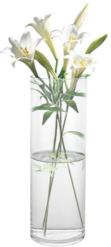 ZOFUN 30cm Glasvase Groß Gross Klar, Glas Blumenvase Zylinder Runde, Zylindrische Glasvase Vase Groß für Orchideen, Rosen, Tulpen, Pampasgras, Tischdeko, Kerze etc
