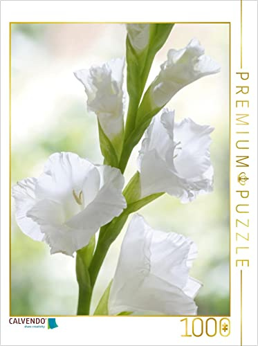 CALVENDO Puzzle White Gladiolus 1000 Pieces 48 x 64 cm from Gisela Kruse
