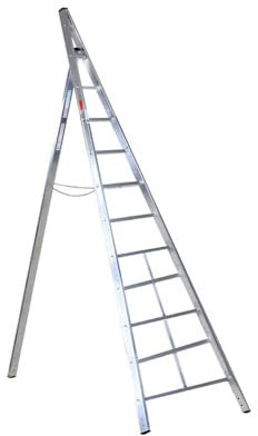 Svelt Scala Agricola 10 gradini Conica a Pioli con Piantone di Sostegno che Consente anche Posizione a Cavalletto, Portata 150kg, Agriluxe