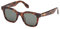 adidas Originals Unisex-Erwachsene OR0109 Sonnenbrille, Dark Havana, Einheitsgröße