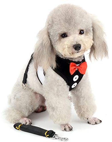 Ranphy Harnais de smoking pour petit chien avec nœud papillon et laisse réglable pour la marche, l'entraînement, la course à pied, la randonnée, Noir Taille S