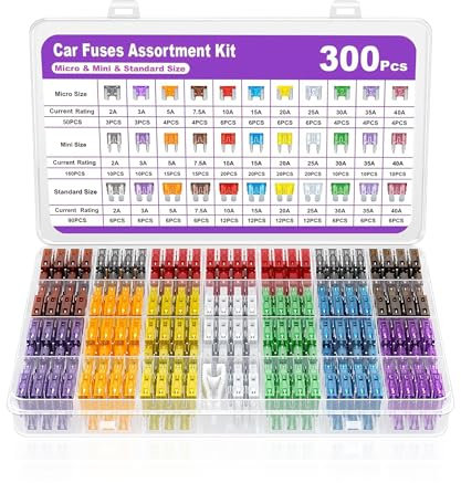 Flaconi 300 PCS Fusibili Auto Kit,12v,2A 3A 5A 7.5A 10A 15A 20A 25A 30A 35A 40A Mini fusibili Moto,Fusibili Auto Standard con Estrattore,fusibili auto Assortiti Kit per Camper/Camion/Moto