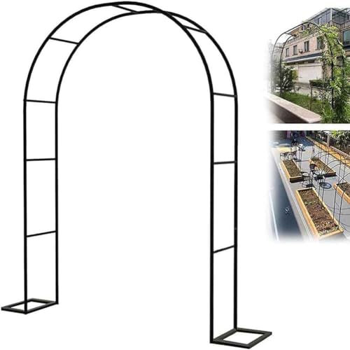 Arche de jardin en métal robuste pour plantes grimpantes - Grande tonnelle de rose avec support et arches de mariage - 240 cm de large x 180 cm de haut - 3 m de long - Couleur noire