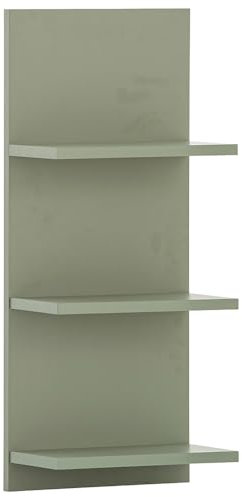 Lomadox Badregal Wandregal in Pistazie